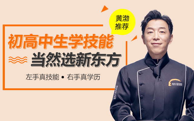 初高中学技能当然选新东方