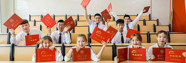 学什么技术