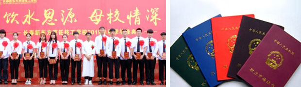 学什么技术