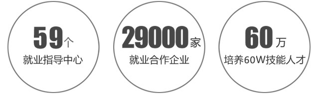 学什么技术