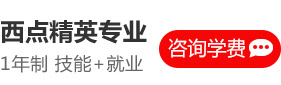 咨询学费